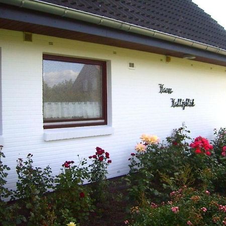 Hooge In The Haus Halligblick Dagebüll Exterior foto